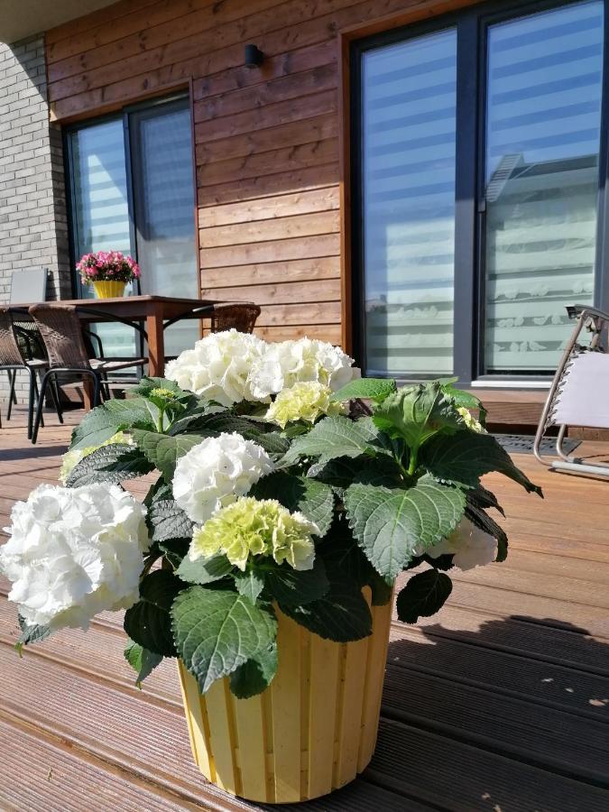 Geltoni Apartamentai Palanga Exterior photo